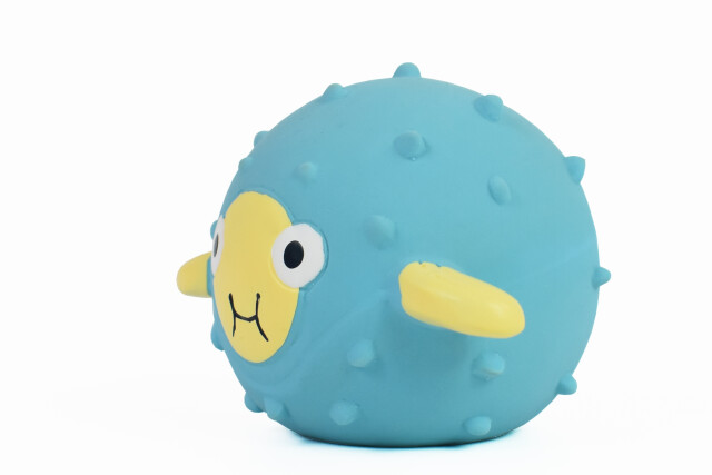 Fugu kaučukov&aacute; rybka - modr&aacute;