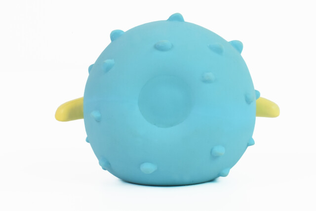 Fugu kaučukov&aacute; rybka - modr&aacute;